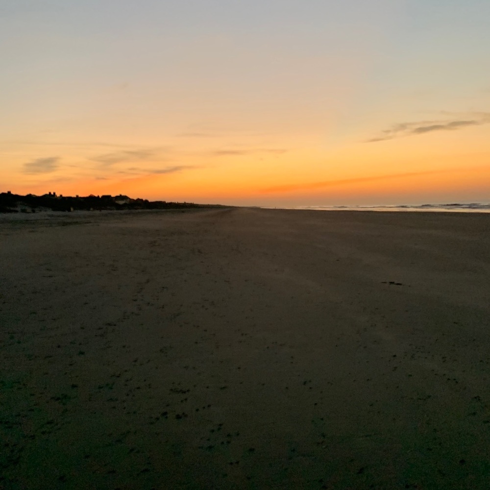 Meet your Posher, Carter